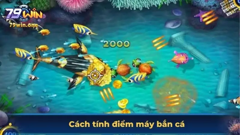 cách tính điểm máy bắn cá